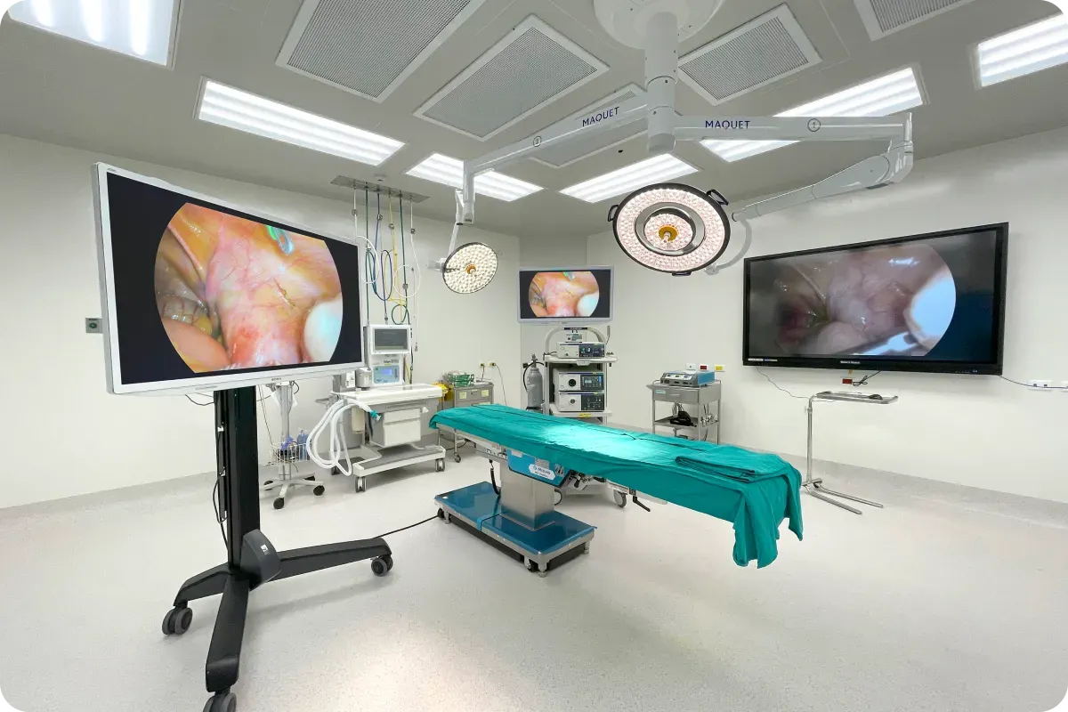 endoscope-4k-pic.png