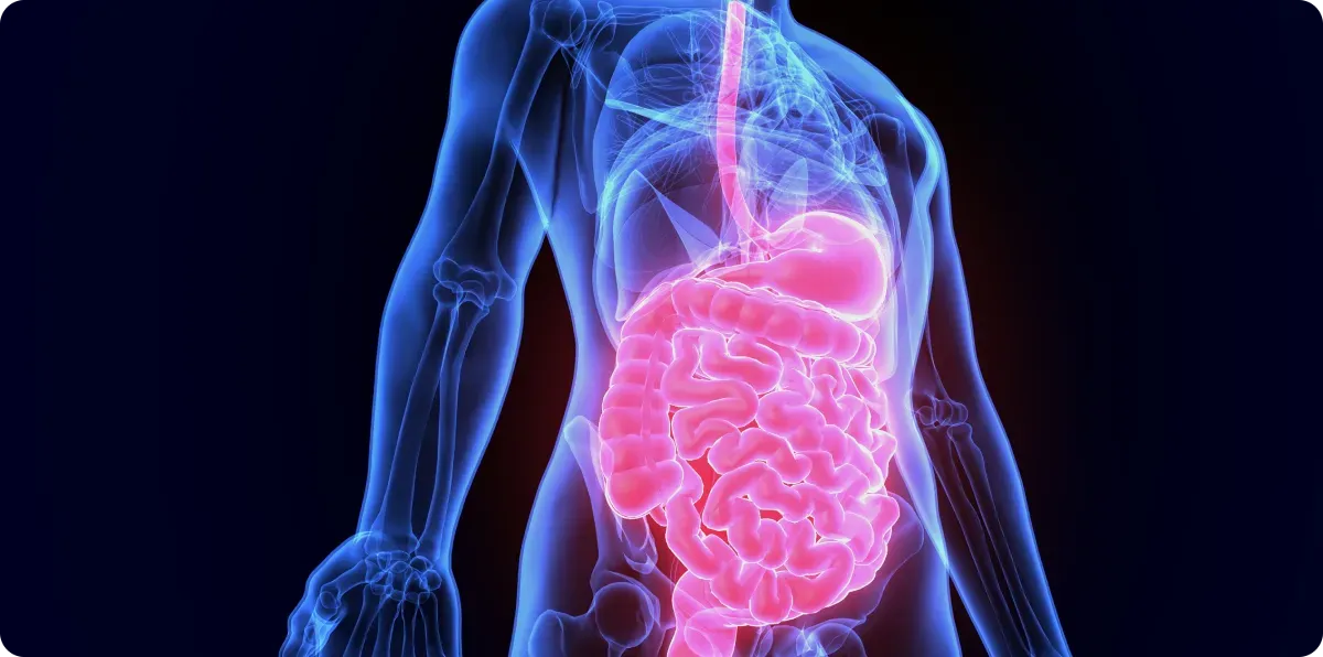 gastrointestinal-system-and-liver-clinic.png