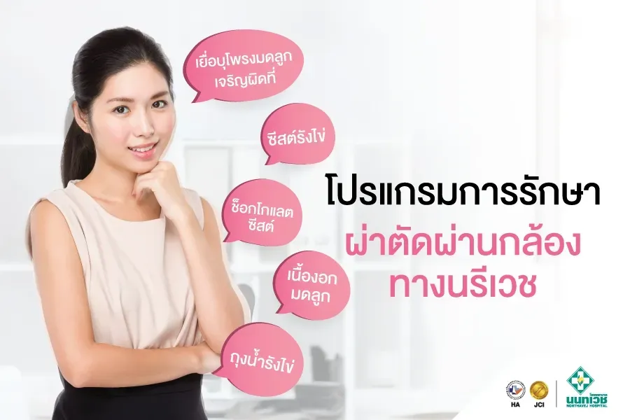 โปรแกรมการรักษาผ่าตัดผ่านกล้องทางนรีเวช